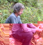 Yellin viewing pieces by Tsujimura Kai Yellin viewing pieces by Tsujimura Kai