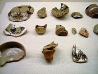 Sherd