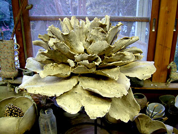 Work by Sugiura Yasuyoshi, from Ceramics of Natural History, Series II Work by Sugiura Yasuyoshi, from Ceramics of Natural History, Series II