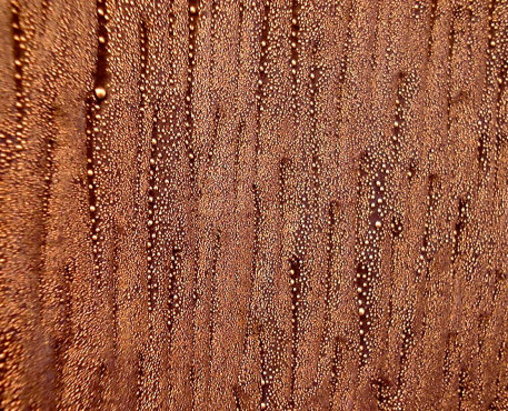 Wet Kondo piece, close up